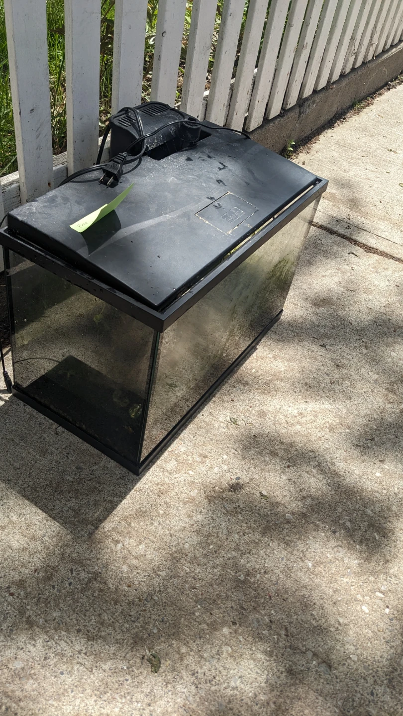 Aquarium Fish Tank with Lid and Filter - photo 2