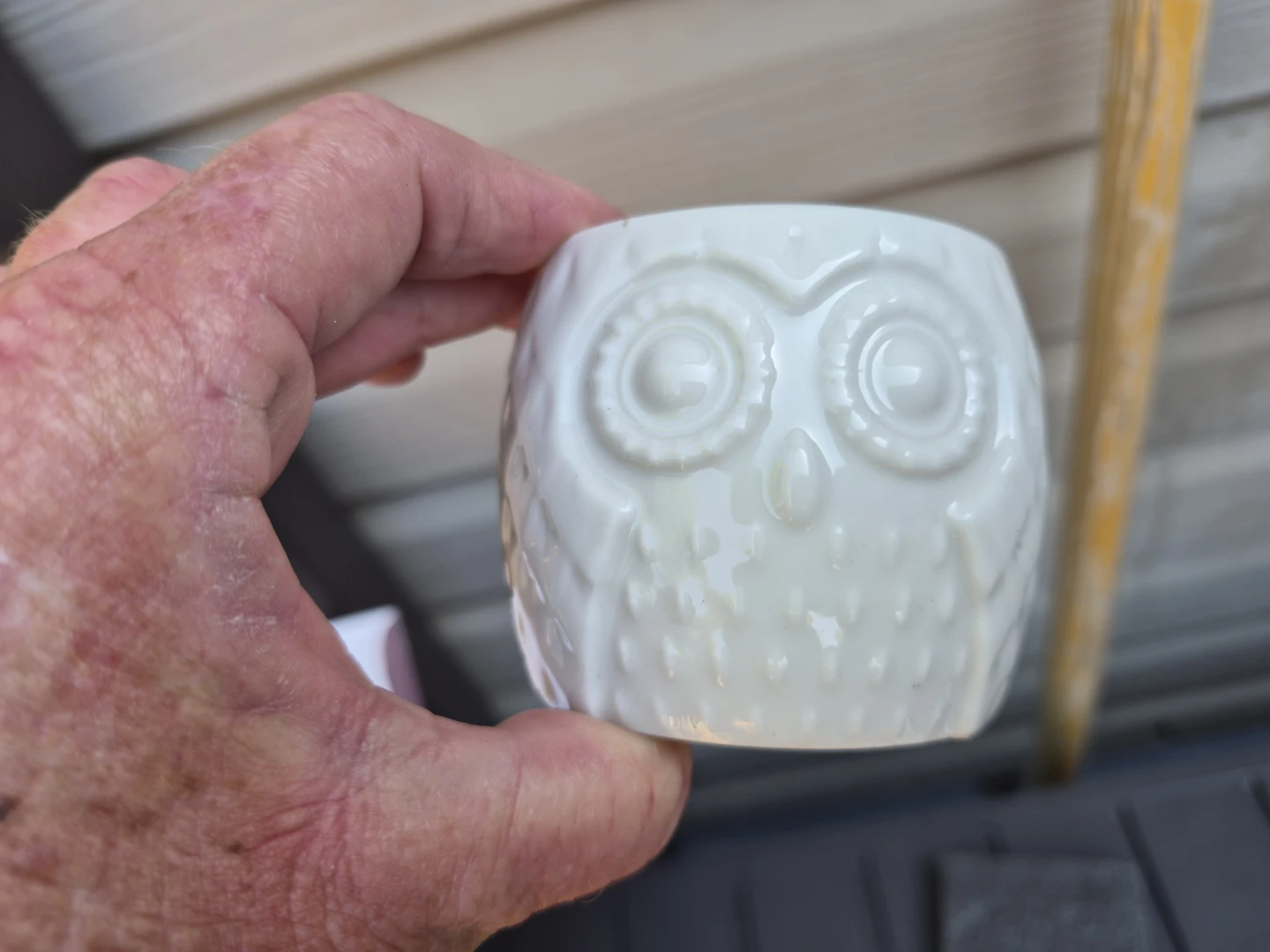 Planters by Aujzoo-Ceramic owls-mini size