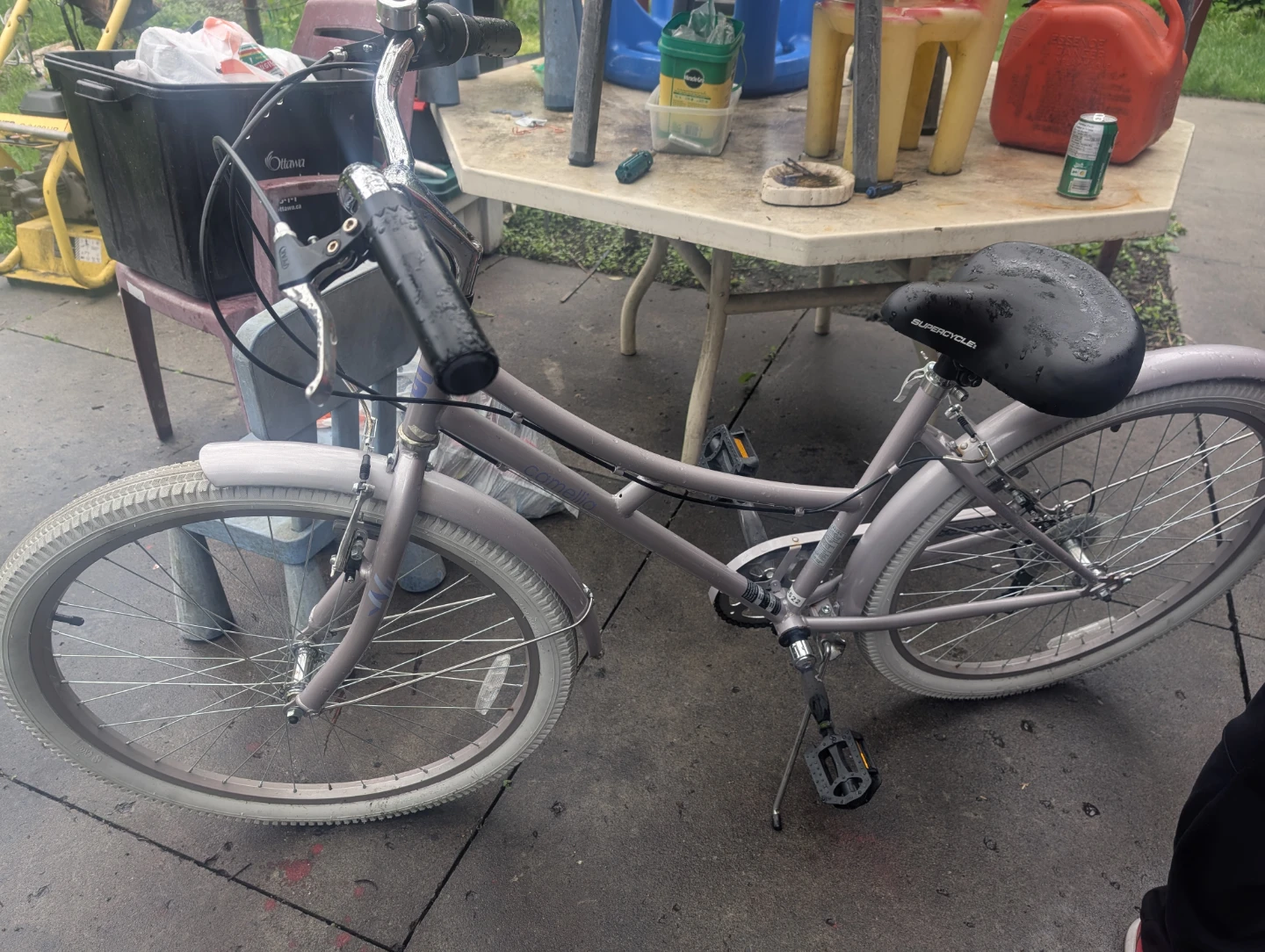 Schwinn Camellia Cruiser Bicycle