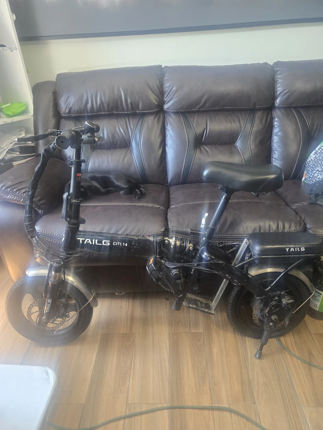 TAILG CITI 14 Electric Bike & 2 Battery