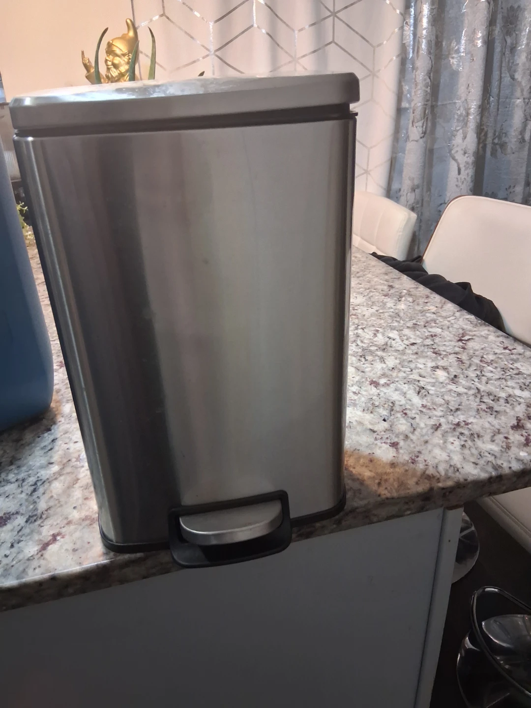 Stainless Steel Step Trash Can