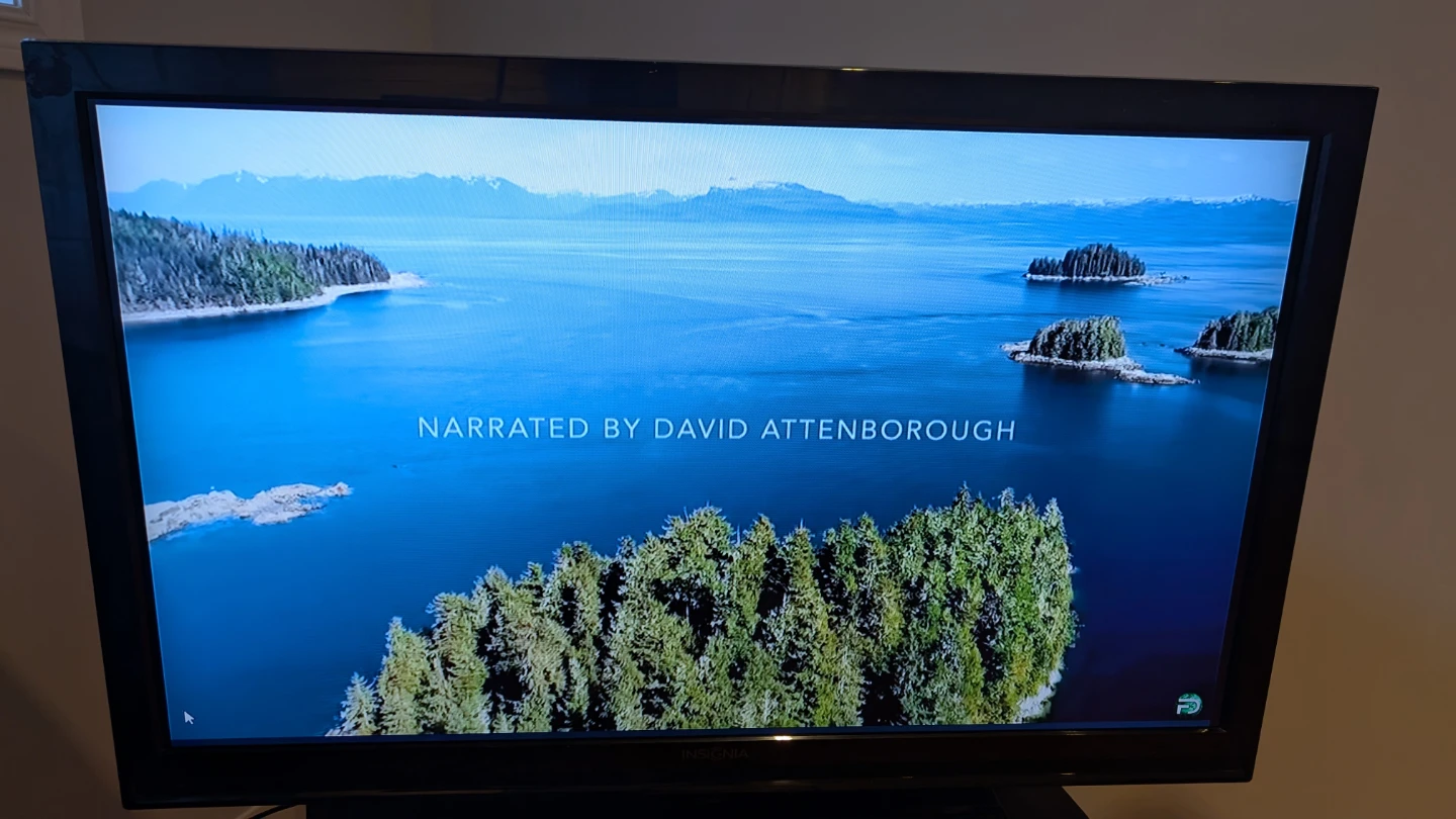 46" Insignia 1080p Flat Screen TV