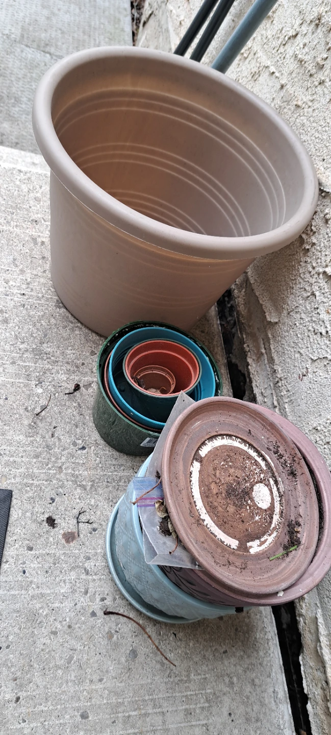 Assorted Plastic Plant Pots