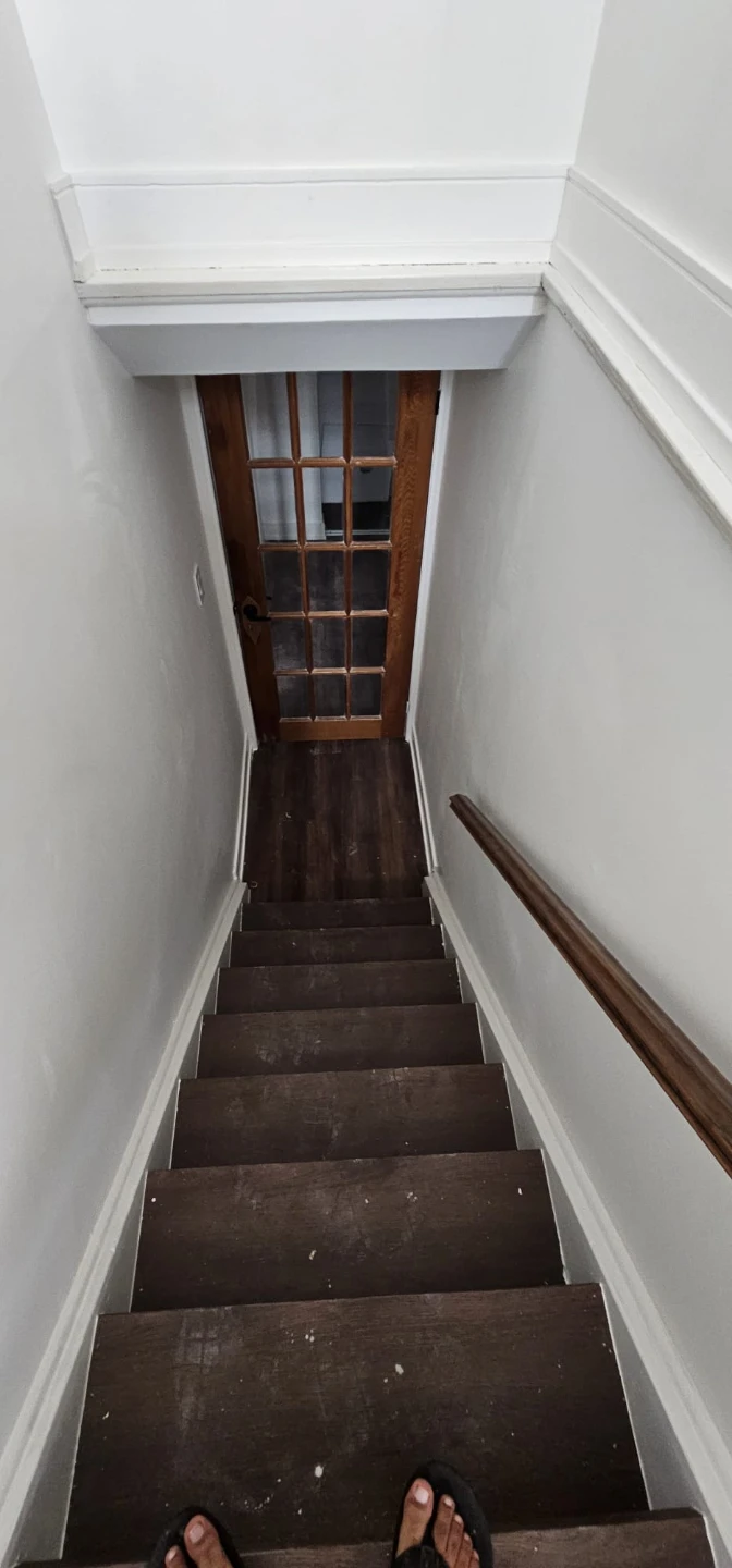 Newly Renovated Walkout Basement Apartment - photo 5