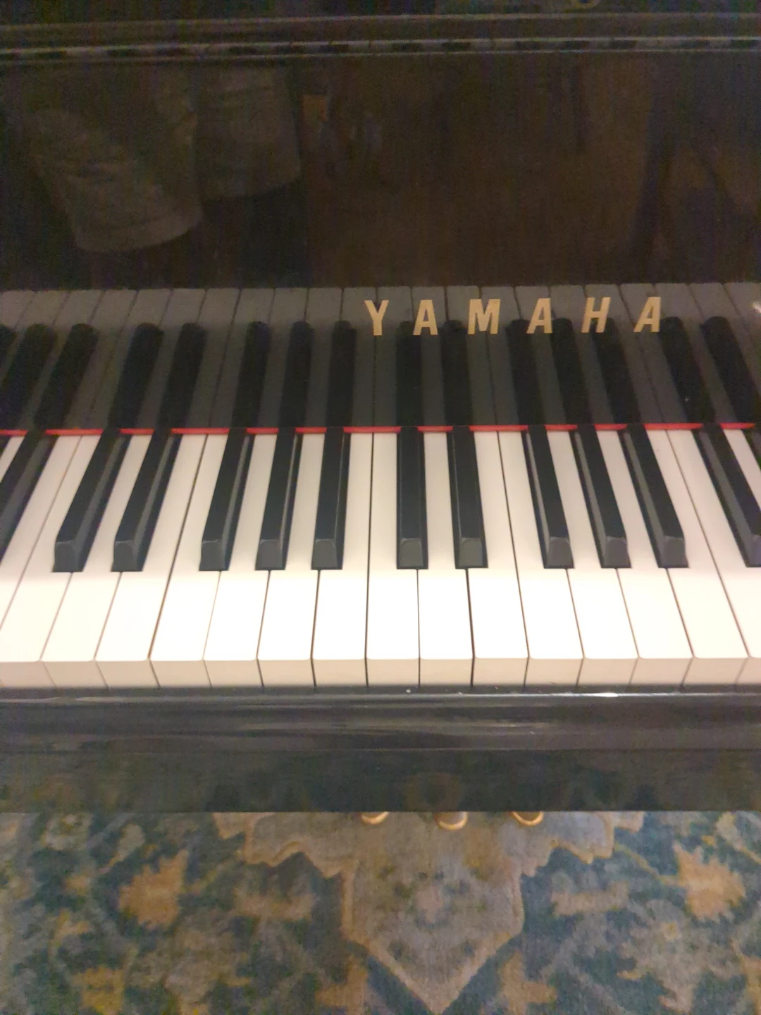 Conservatory Grand Piano - photo 3
