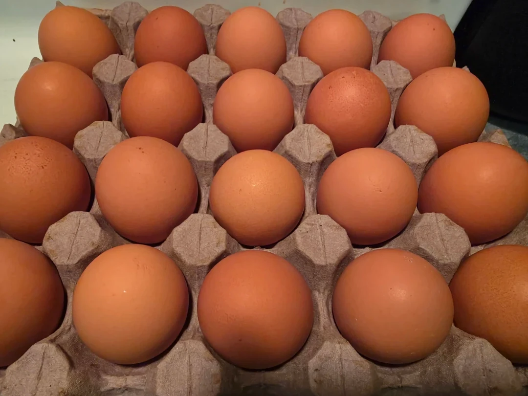 Farm fresh - 20pc cartons - $10