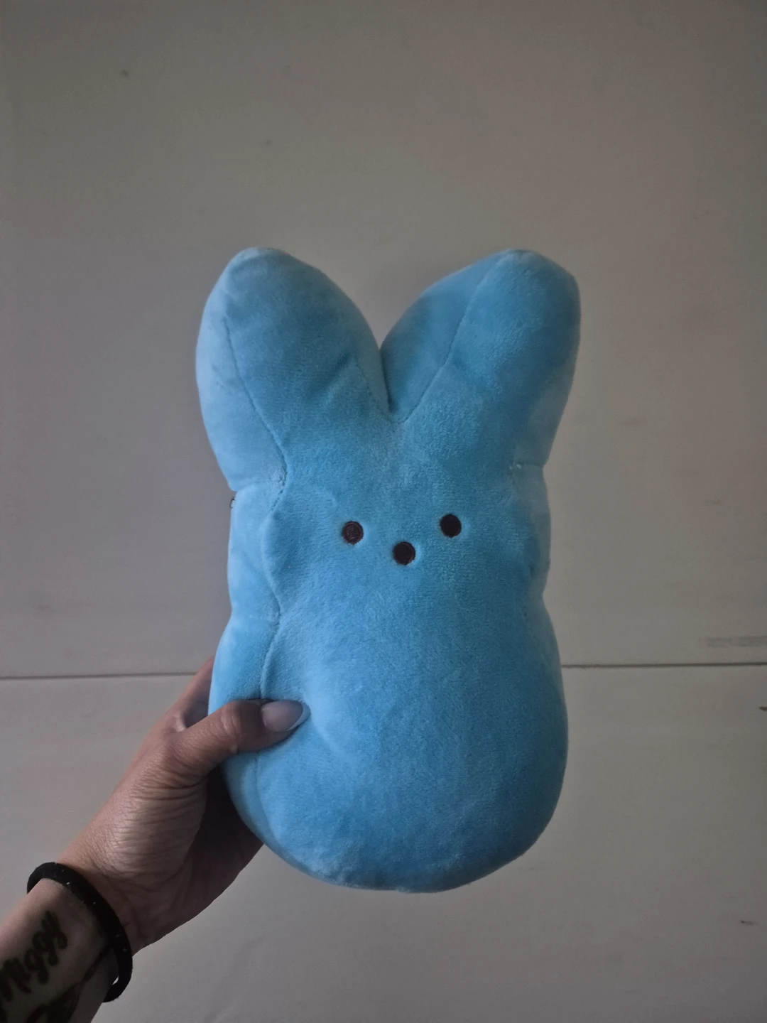 Blue Peeps Plush Toy