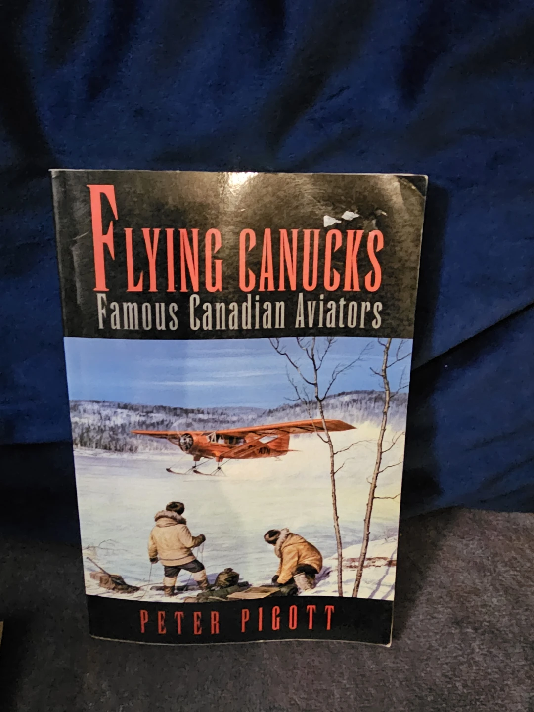 Flying Canucks: Famous Canadian Aviators by Peter Pigott