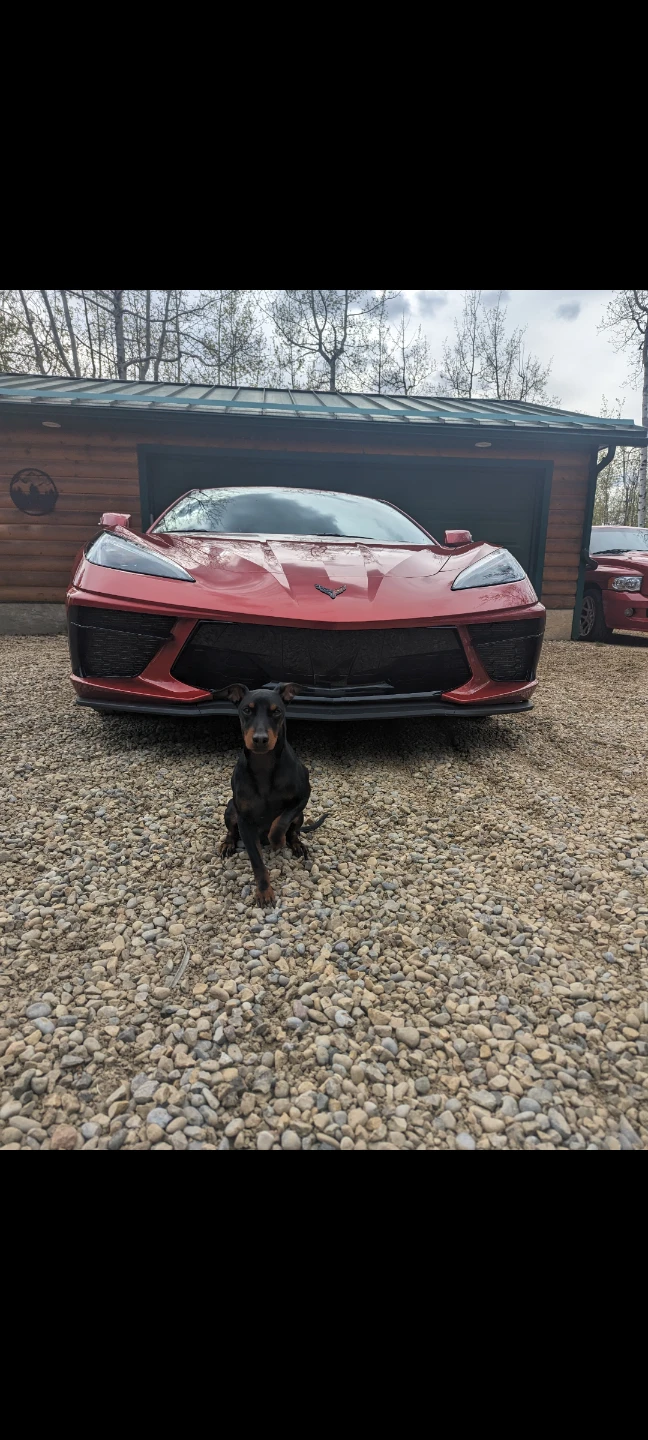 2023 C8 Corvette Stingray - photo 4