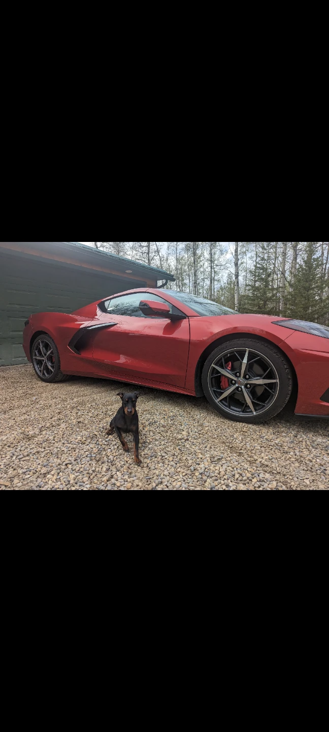 2023 C8 Corvette Stingray - photo 5