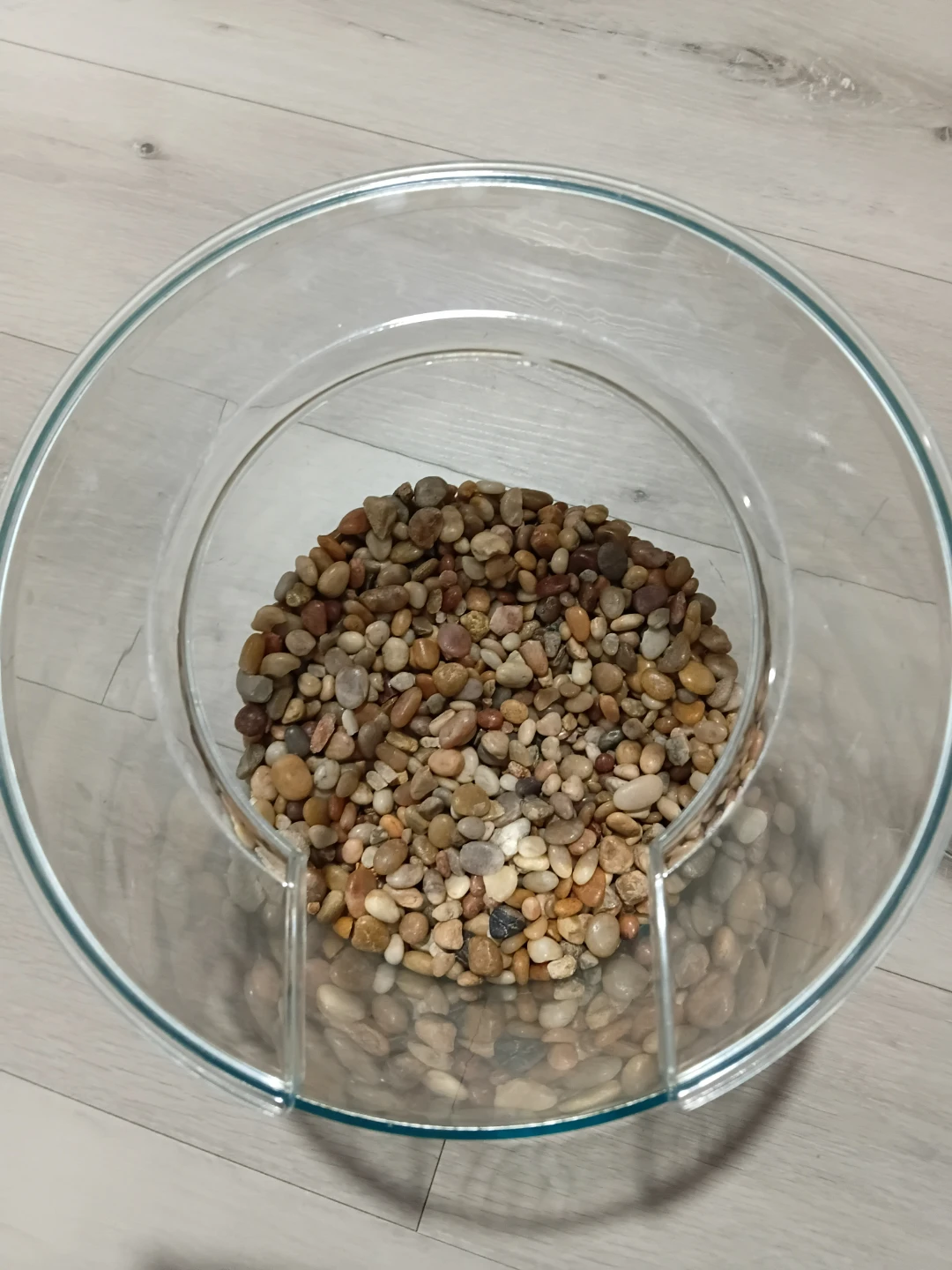 Clear Plastic Fish Bowl with Decorative Stones - photo 2