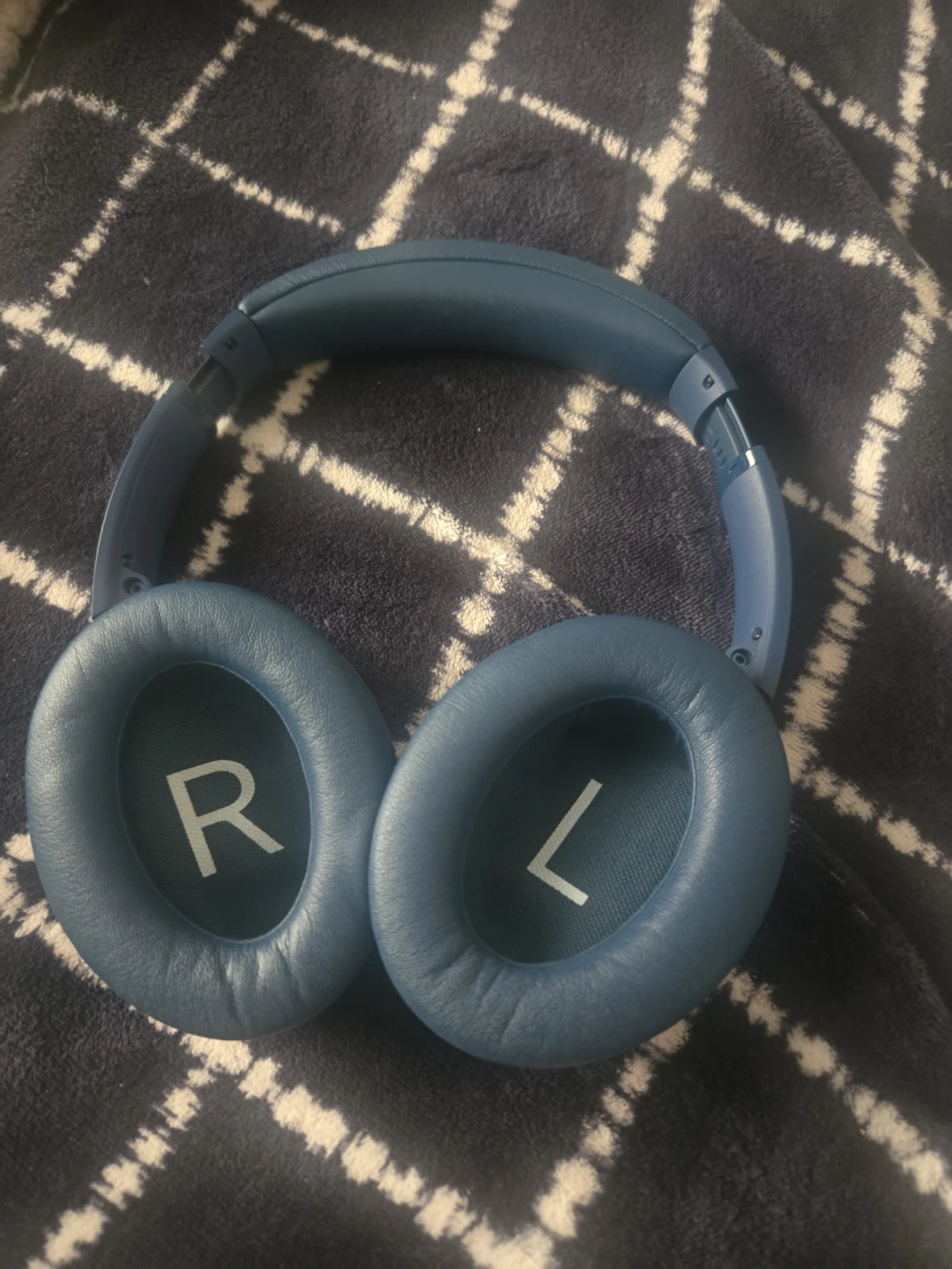 Bose Headphones with Case - photo 4