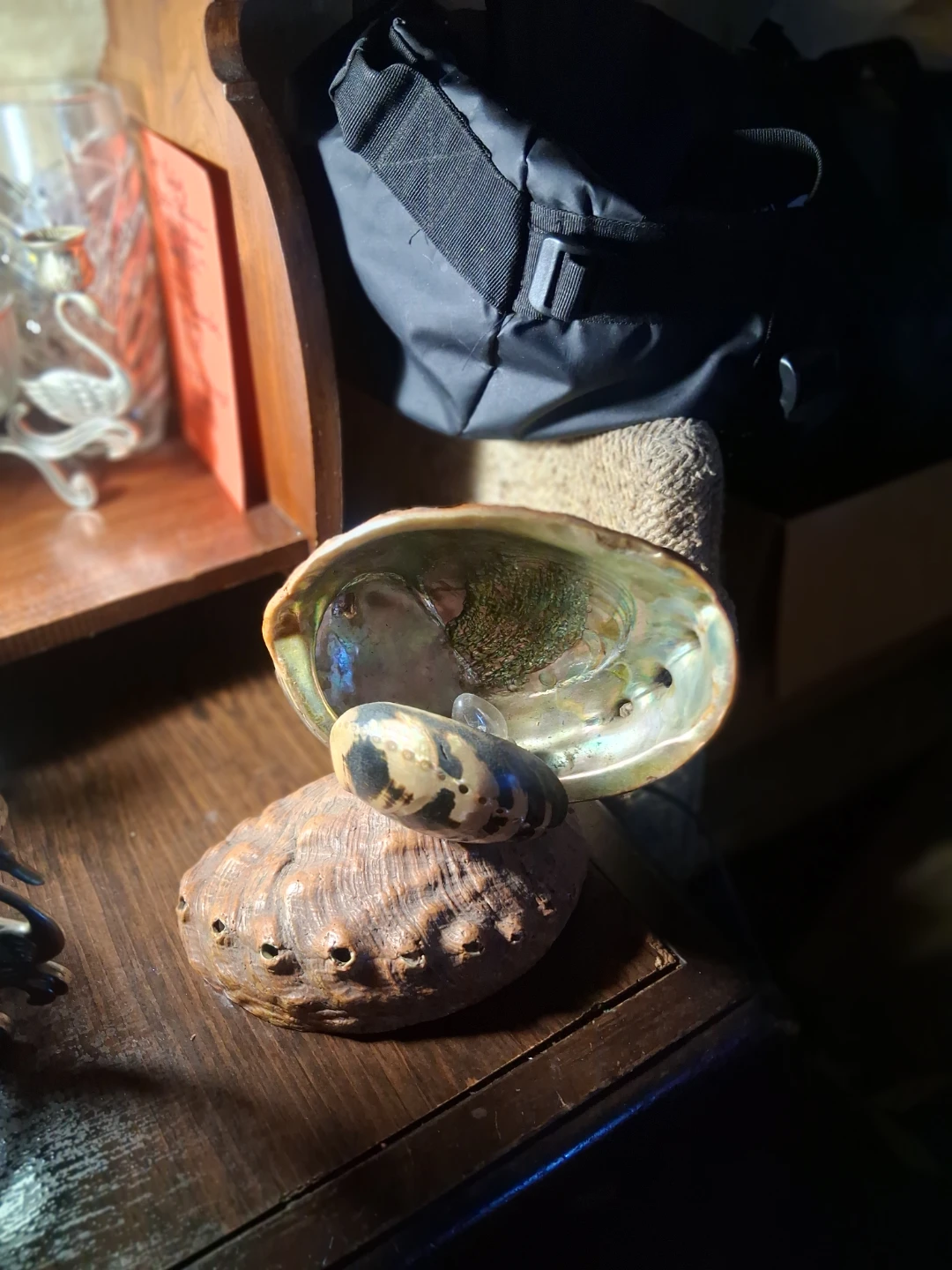 Abalone Shell Lamp - photo 2