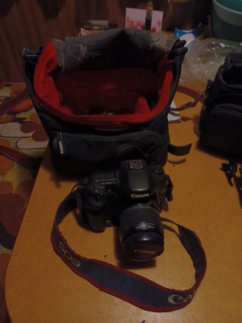 Canon EOS 40D DSLR with Remote - photo 2