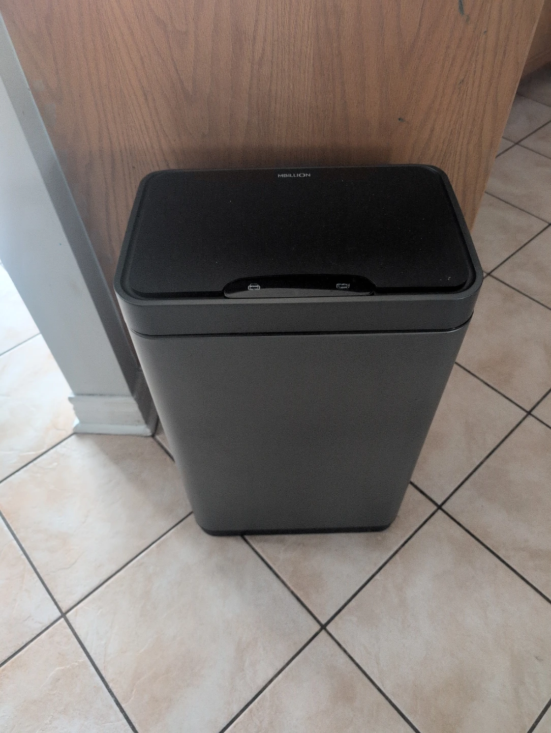 MBIllion Smart Trash Can
