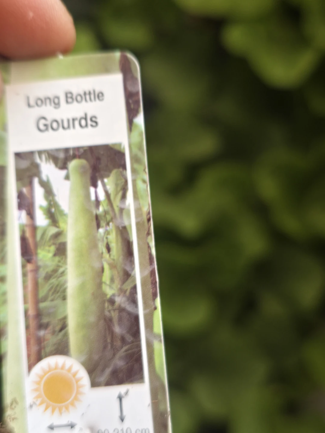 Vegetables seeding available from $2 - photo 5