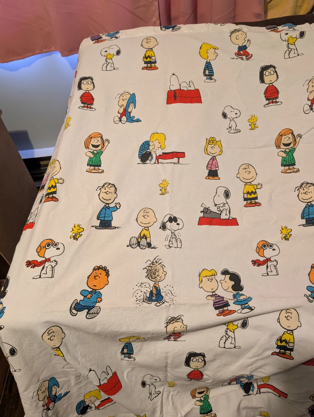 Peanuts Snoopy Charlie Brown Shower Curtain Hooks Set