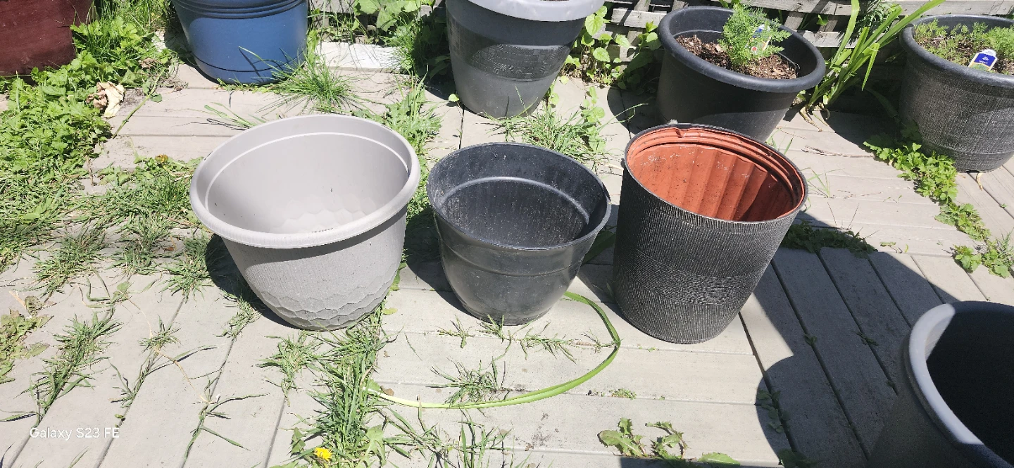 Assorted Plastic Plant Pots. $2 Each