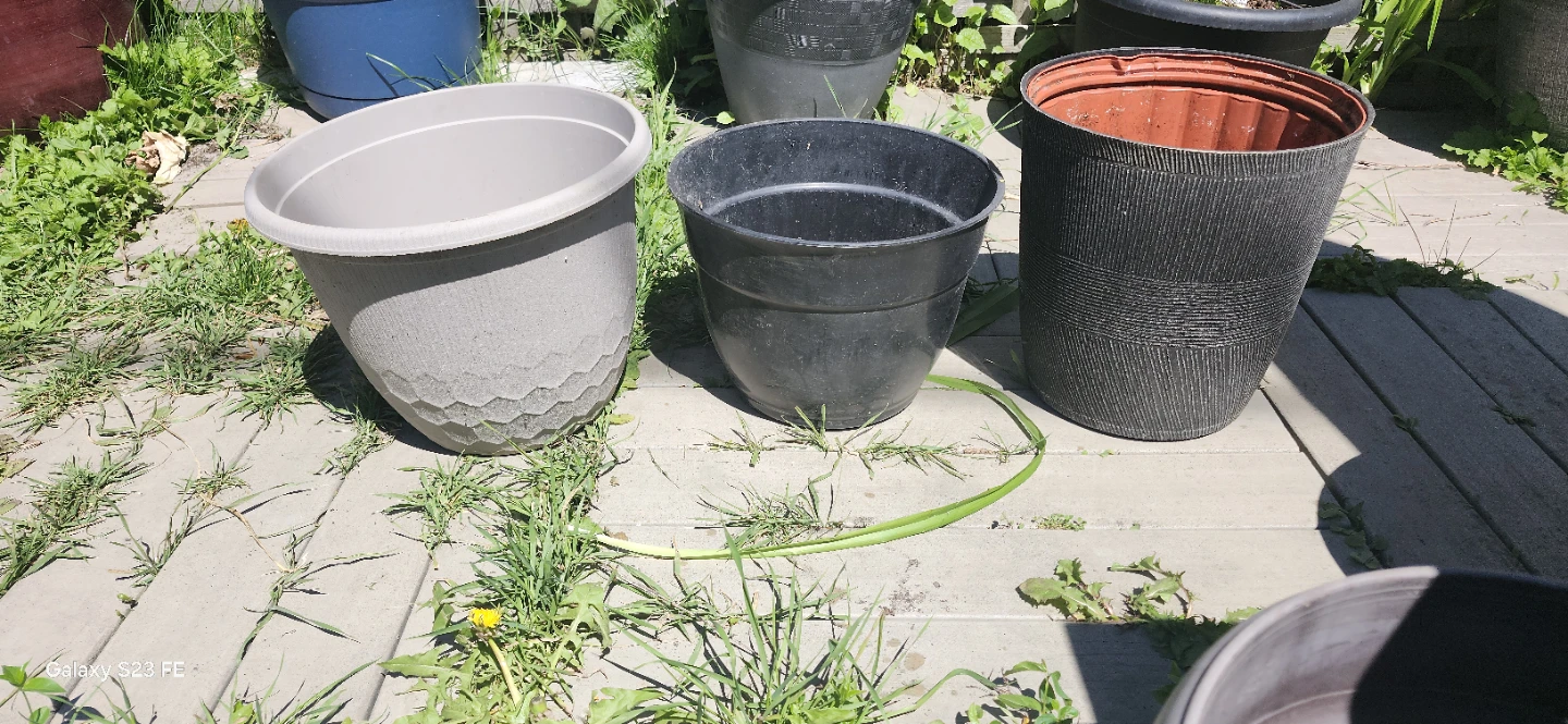 Assorted Plastic Plant Pots. $2 Each - photo 2