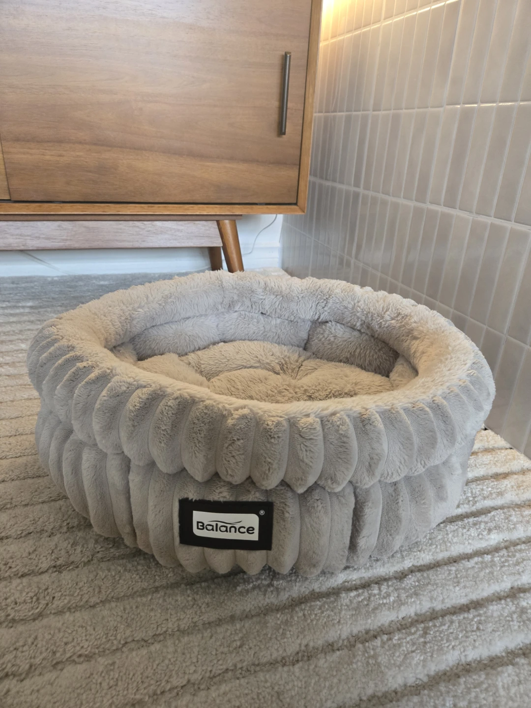 Cat/Kitten Bed