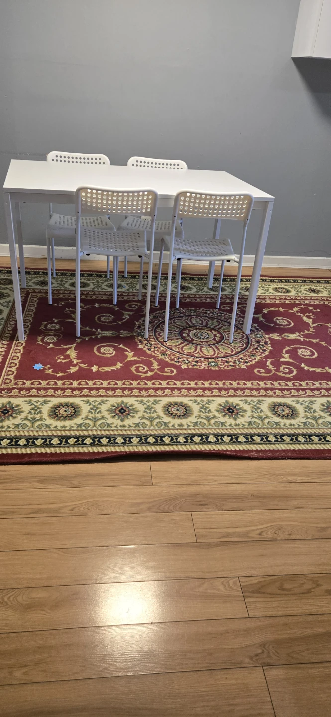 Red and Cream Traditional Oriental Area Rug