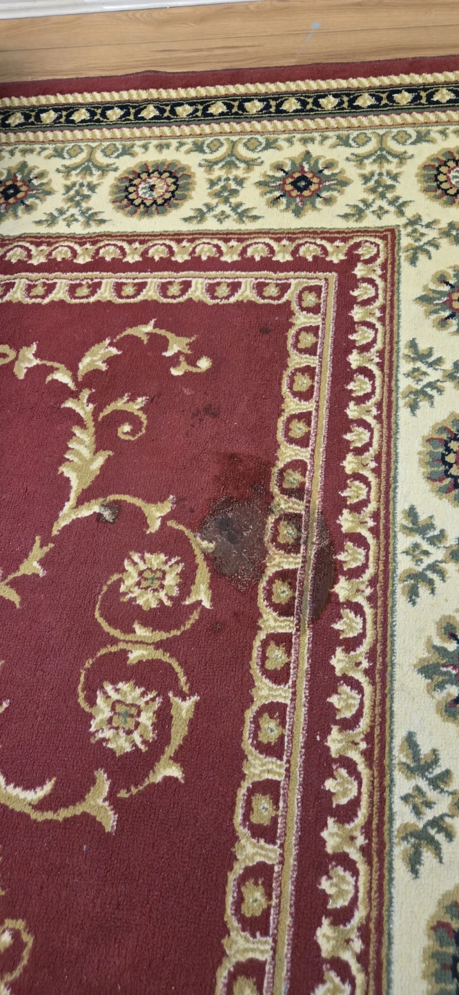 Red and Cream Traditional Oriental Area Rug - photo 3