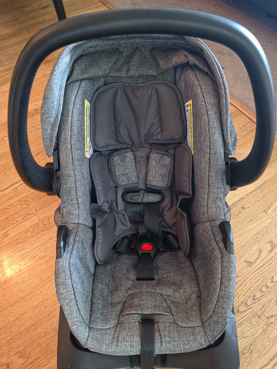 Evenflo LiteMax Infant Car Seat - photo 3