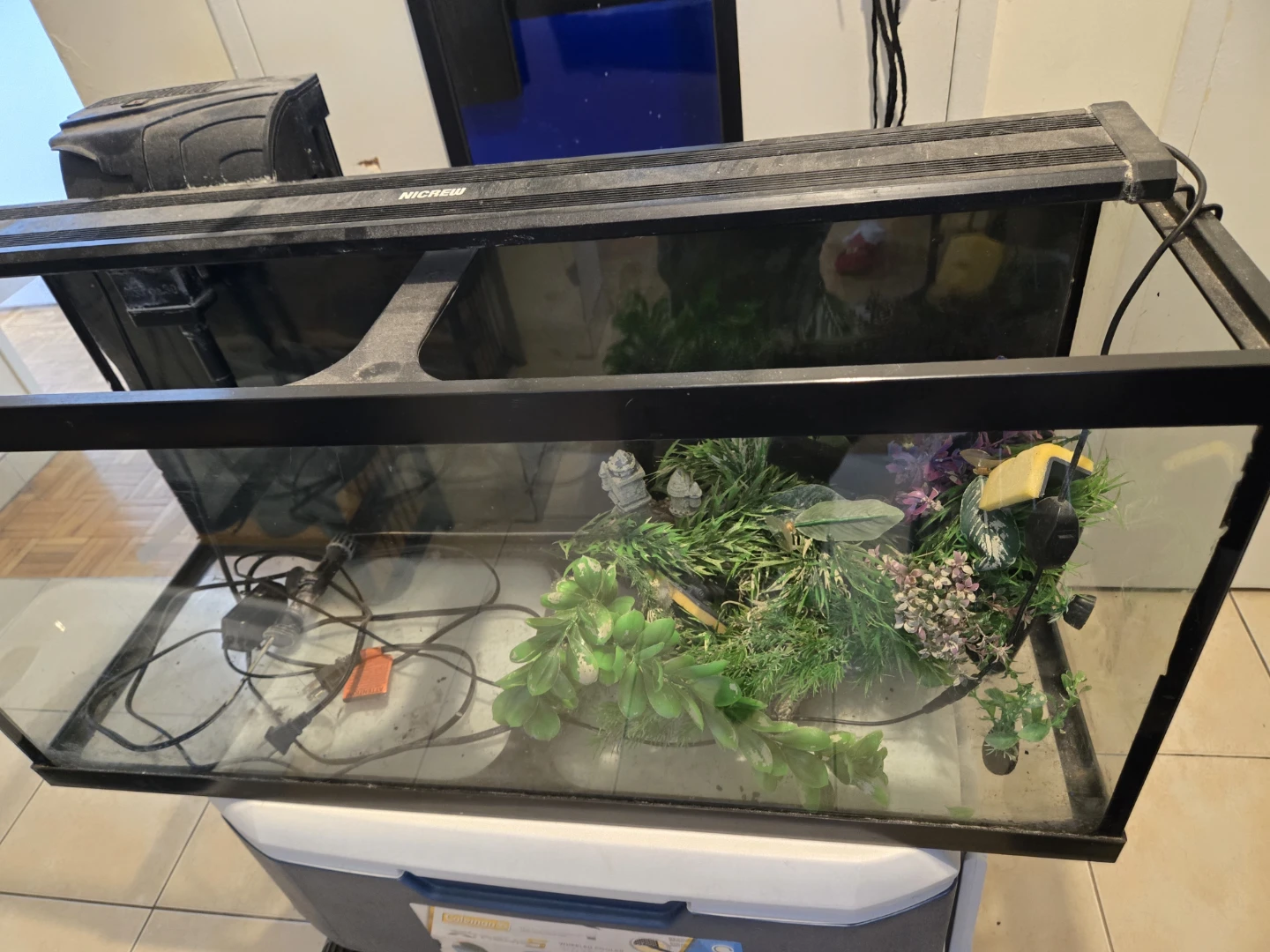 30 Gallon Aquarium Tank with light, heater and accessories