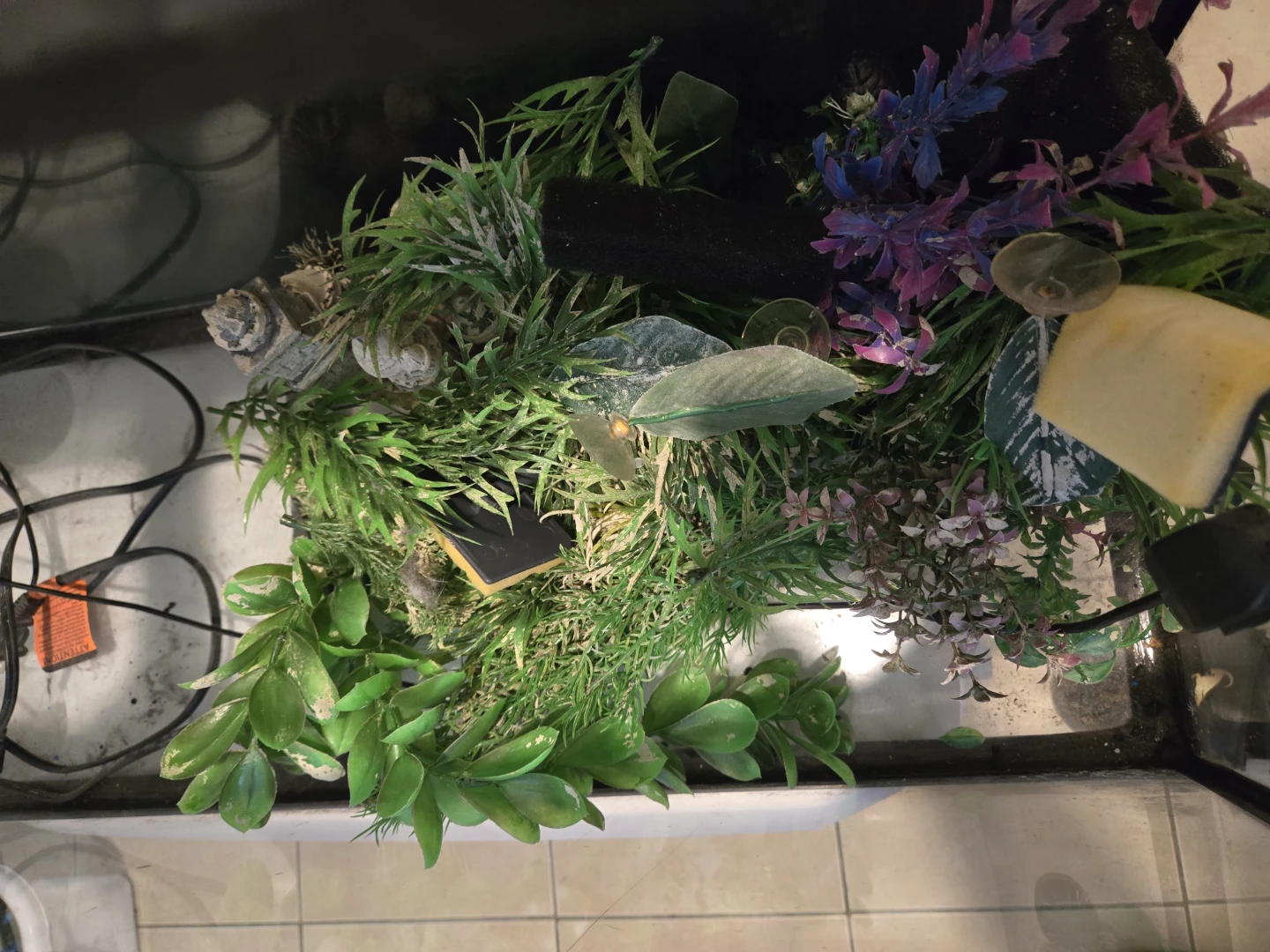30 Gallon Aquarium Tank with light, heater and accessories - photo 3