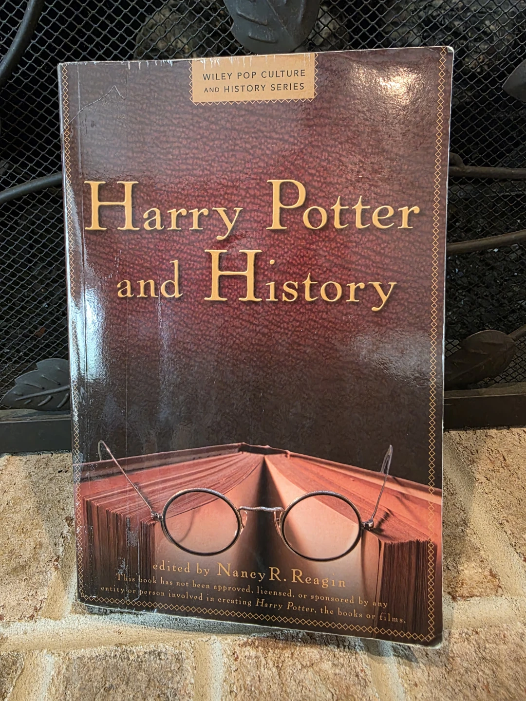 Harry Potter and History Book by Wiley