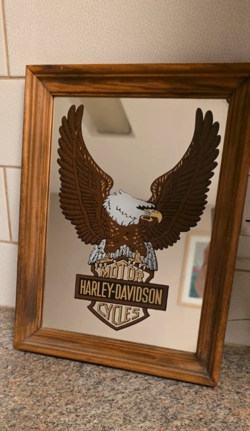 Harley-Davidson Cycles Mirror - photo 2