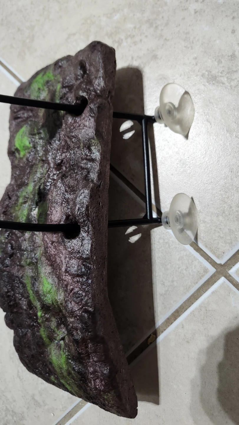 Reptile Suction Cup Hideout
