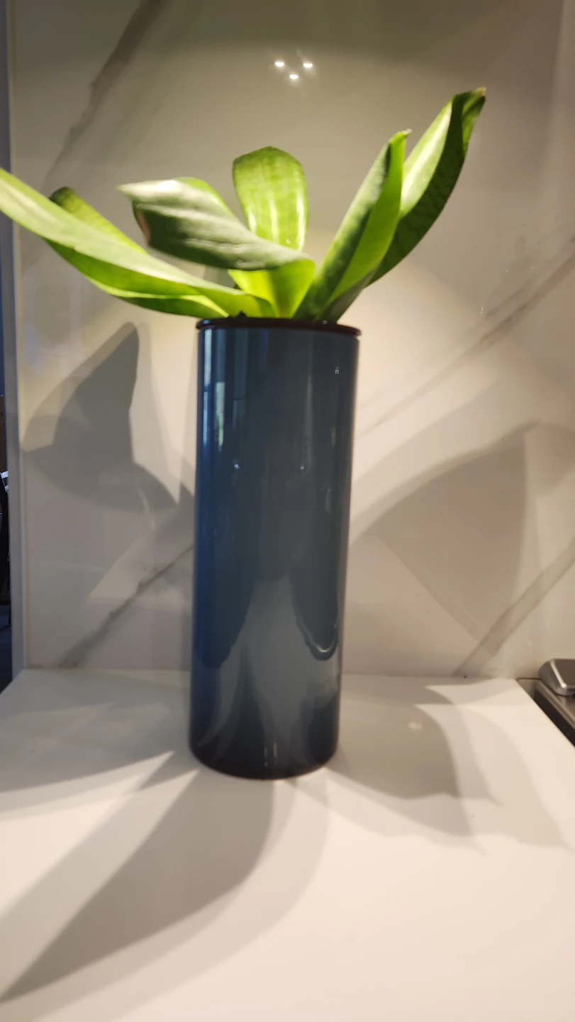 Cobalt blue upcycled vase planter with plant