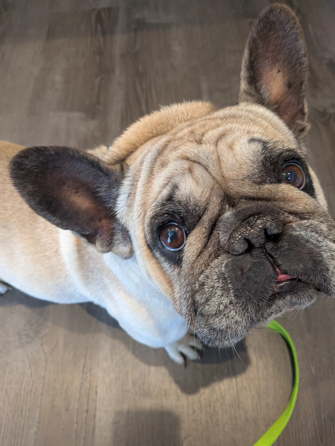 Winter Sublet / House Sit / Short Term Rental
