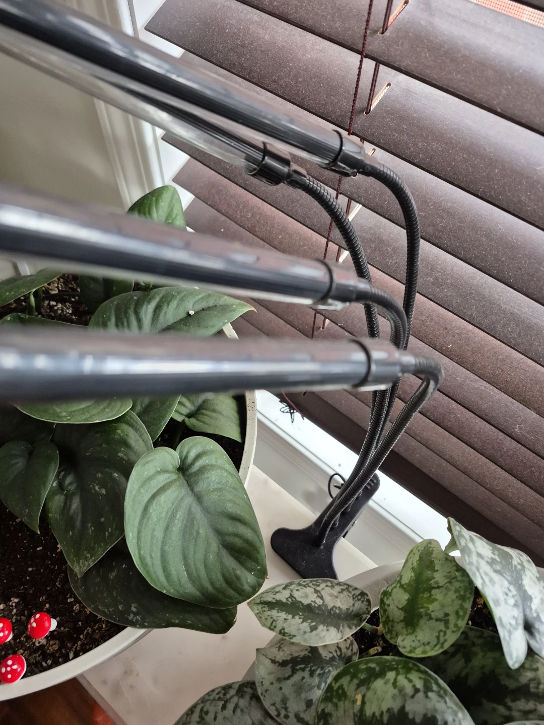 Grow Light for Plants