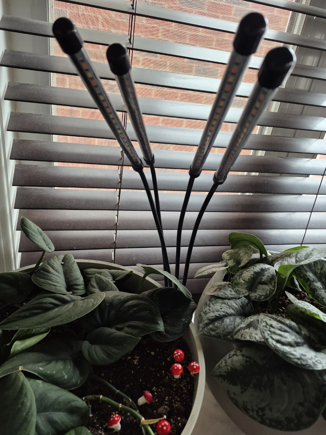 Grow Light for Plants - photo 2