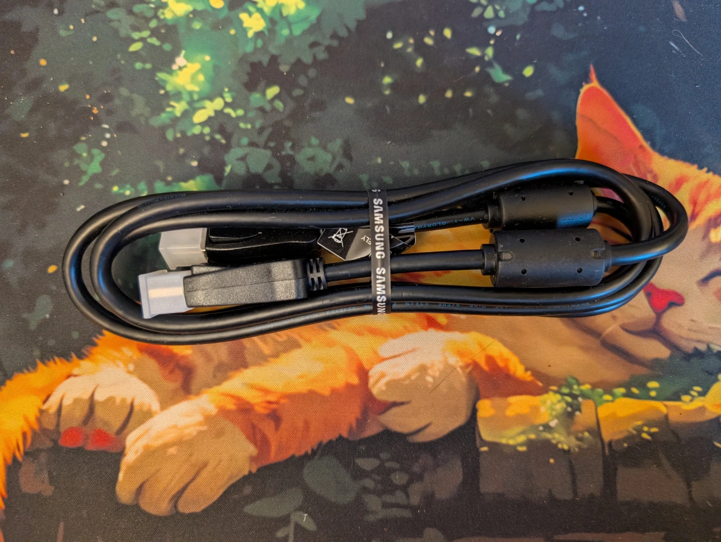 Samsung Display Port Cable