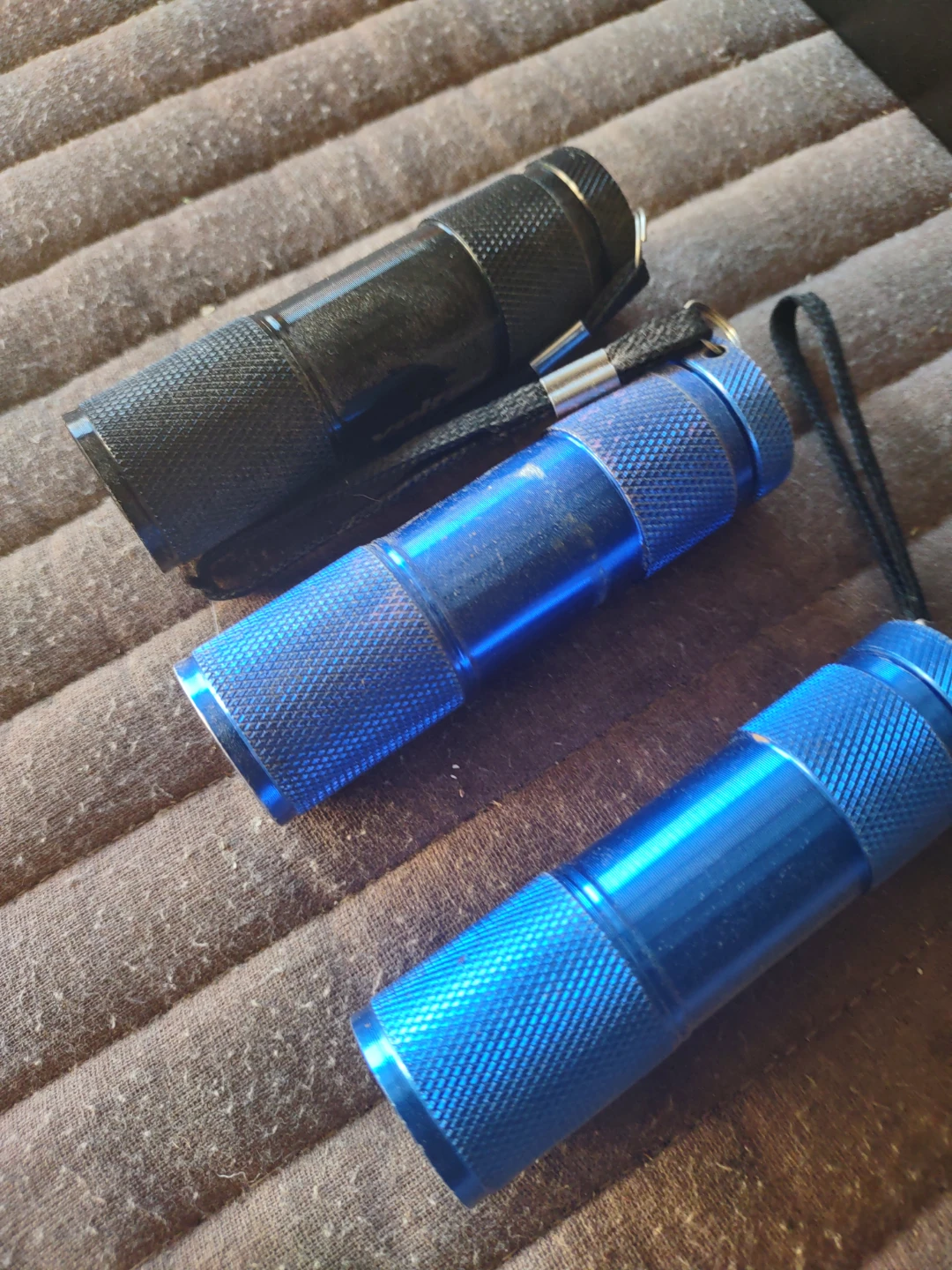 3 Mini LED Flashlights - Black & Blue - photo 2