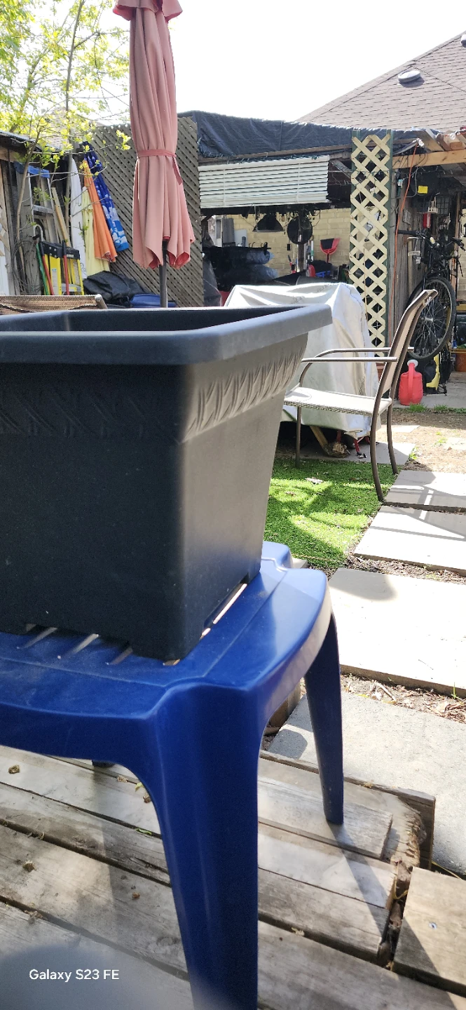Black Square Plastic Planter Pot. $11  EACH - photo 2
