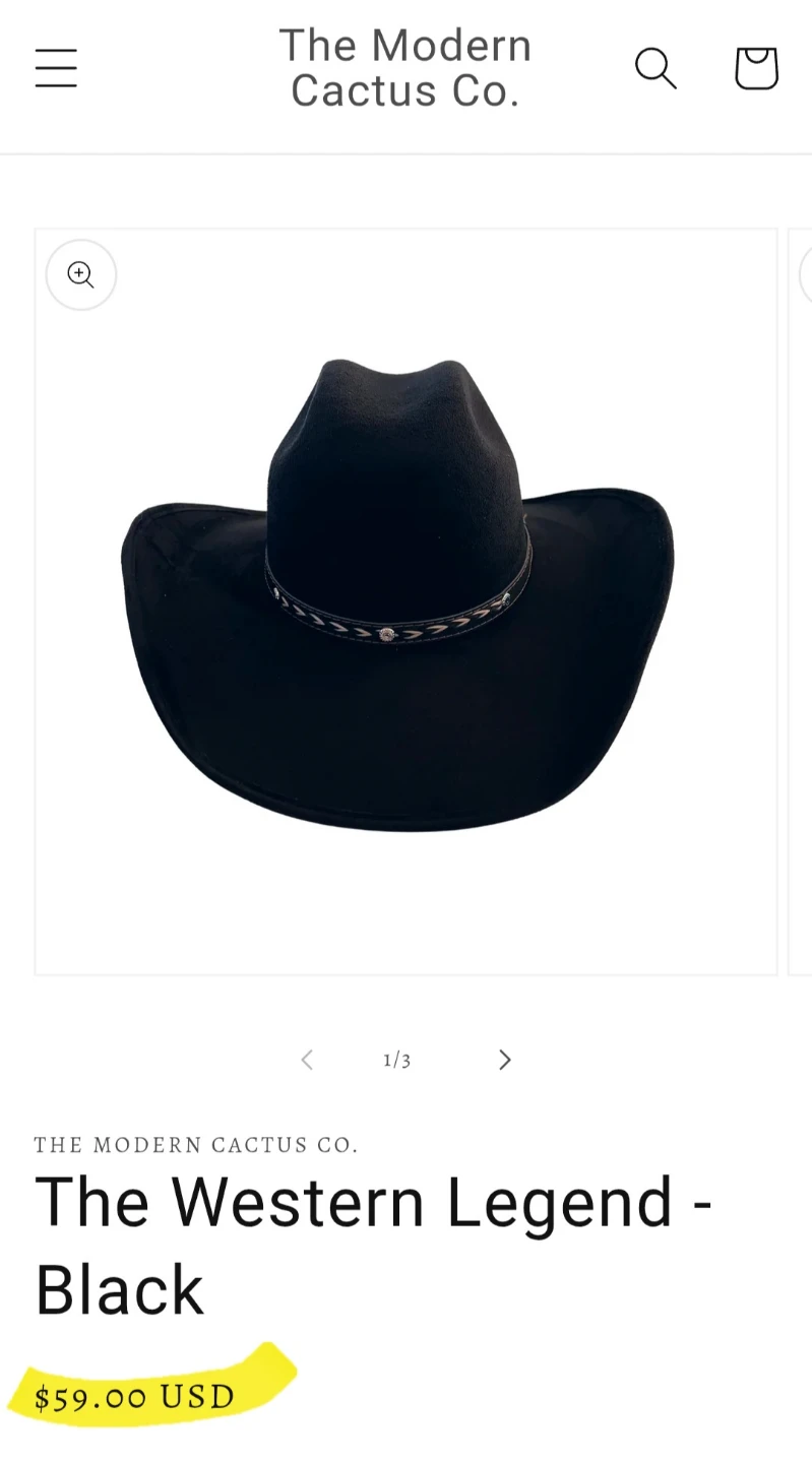 Vegan Suede Cowboy Hat - photo 5