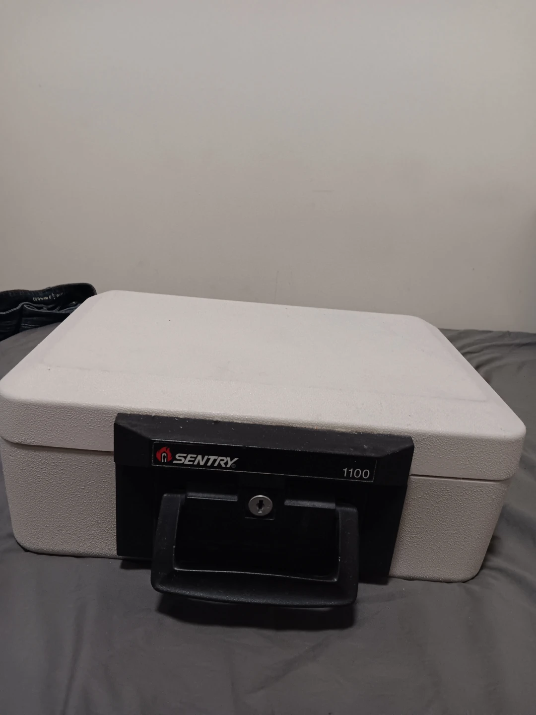 SentrySafe 1100 Fire Chest