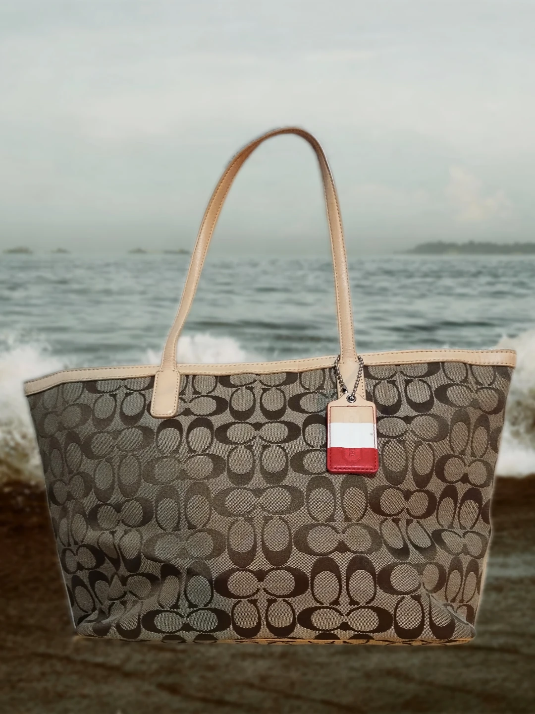 Coach Signature Tote Bag