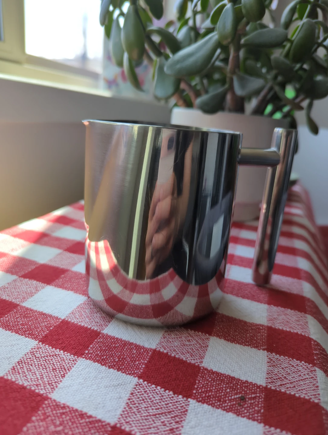 Stainless Steel Milk Frothing Pitcher