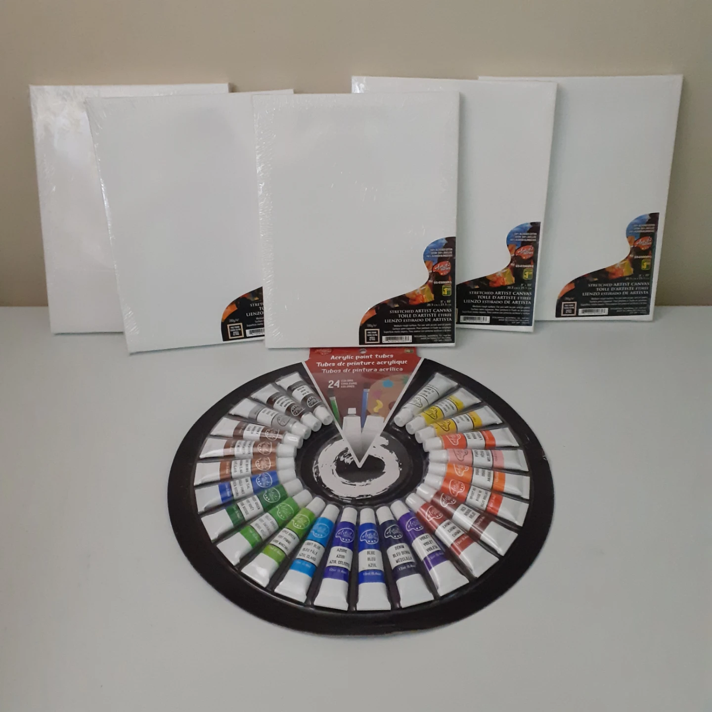 NEW~ 5x Canvases + Paint