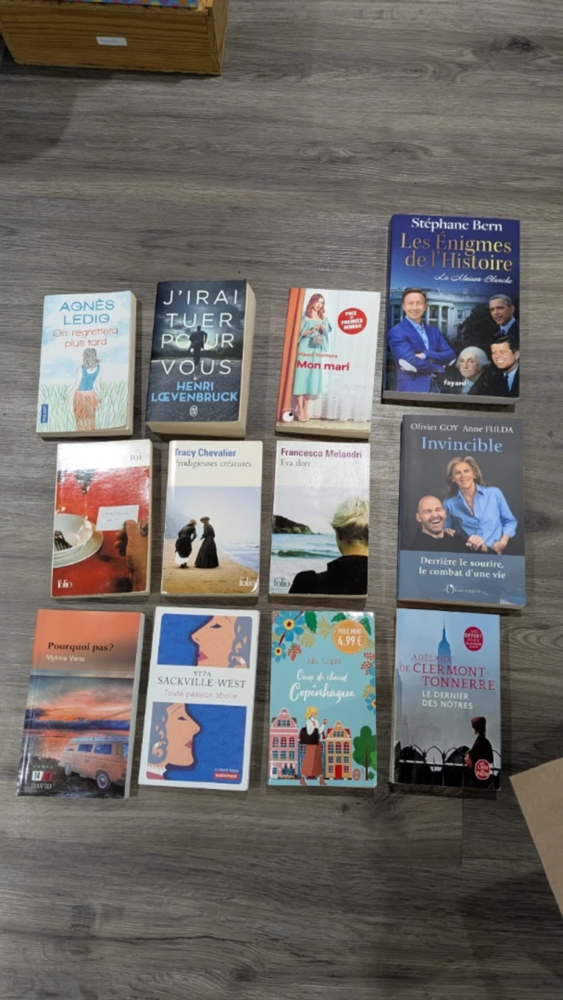 Assorted French Novels Collection