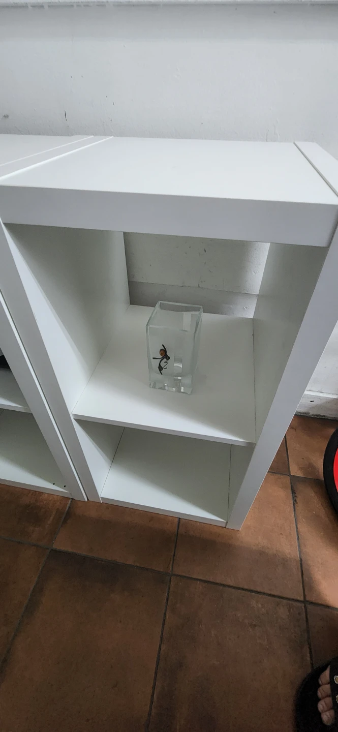 White Cube Storage Shelves (Set of 2) - photo 2