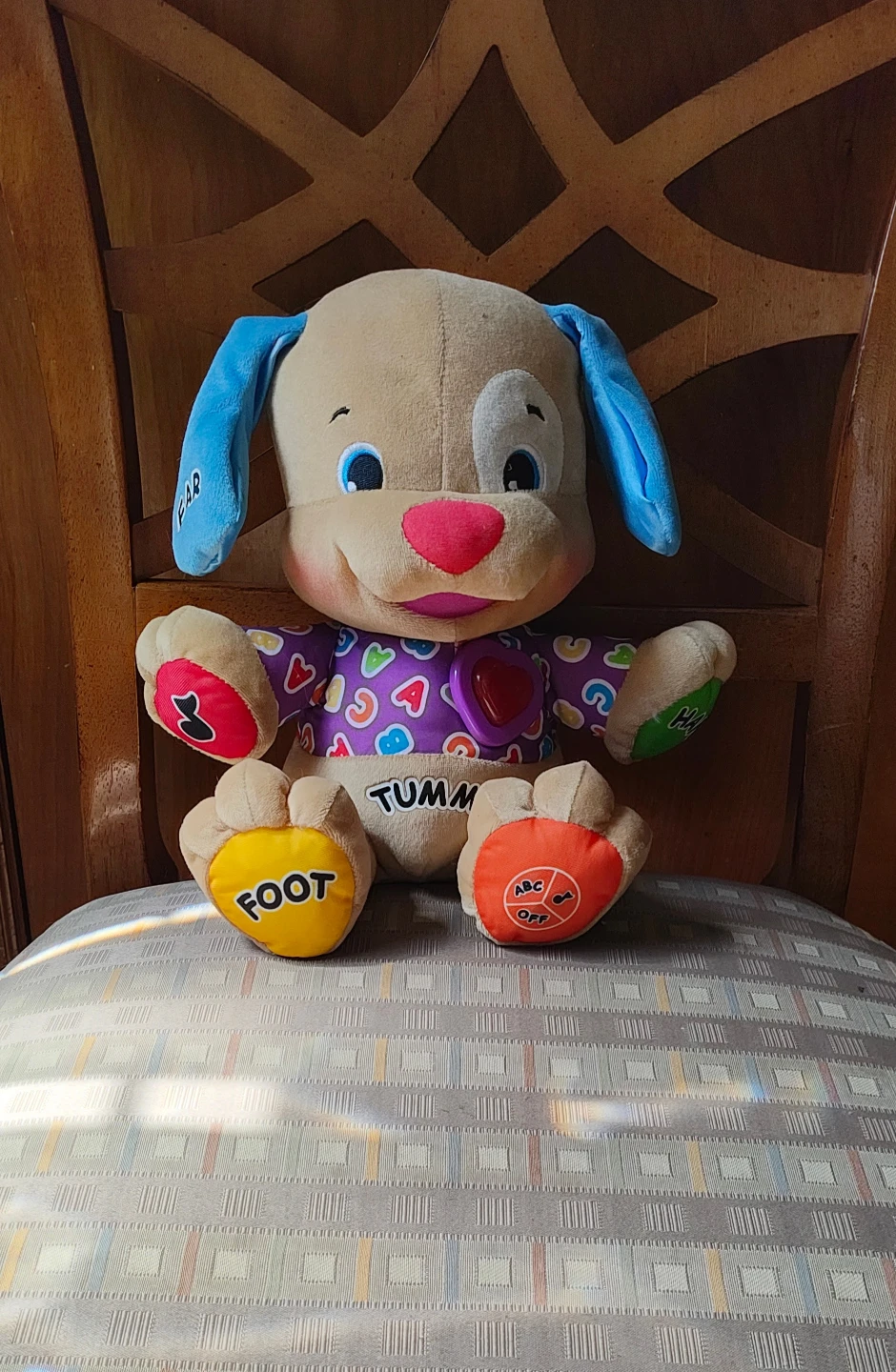 Learning Puppy Plush