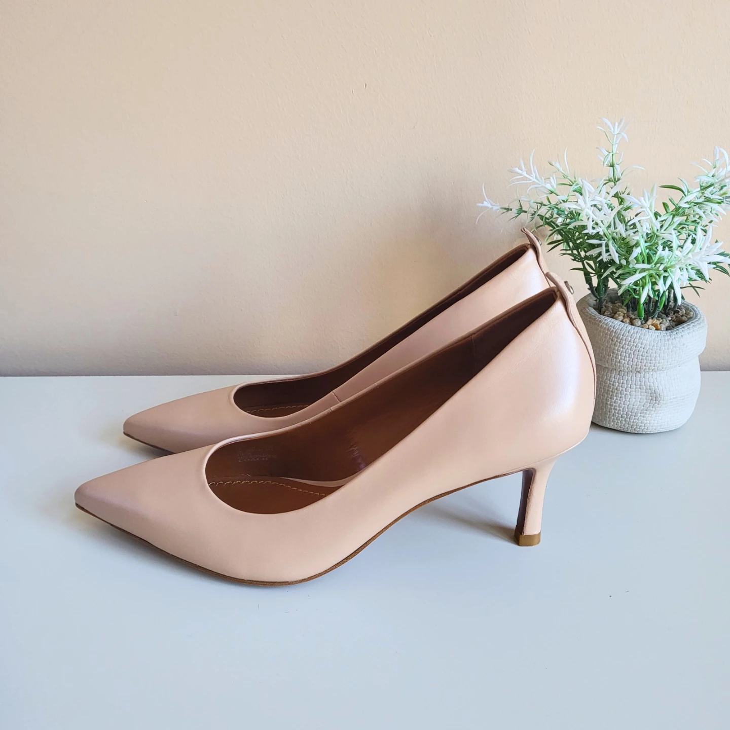 Coach Waverly 65 Leather Beechwood Heels! 👠 - photo 2