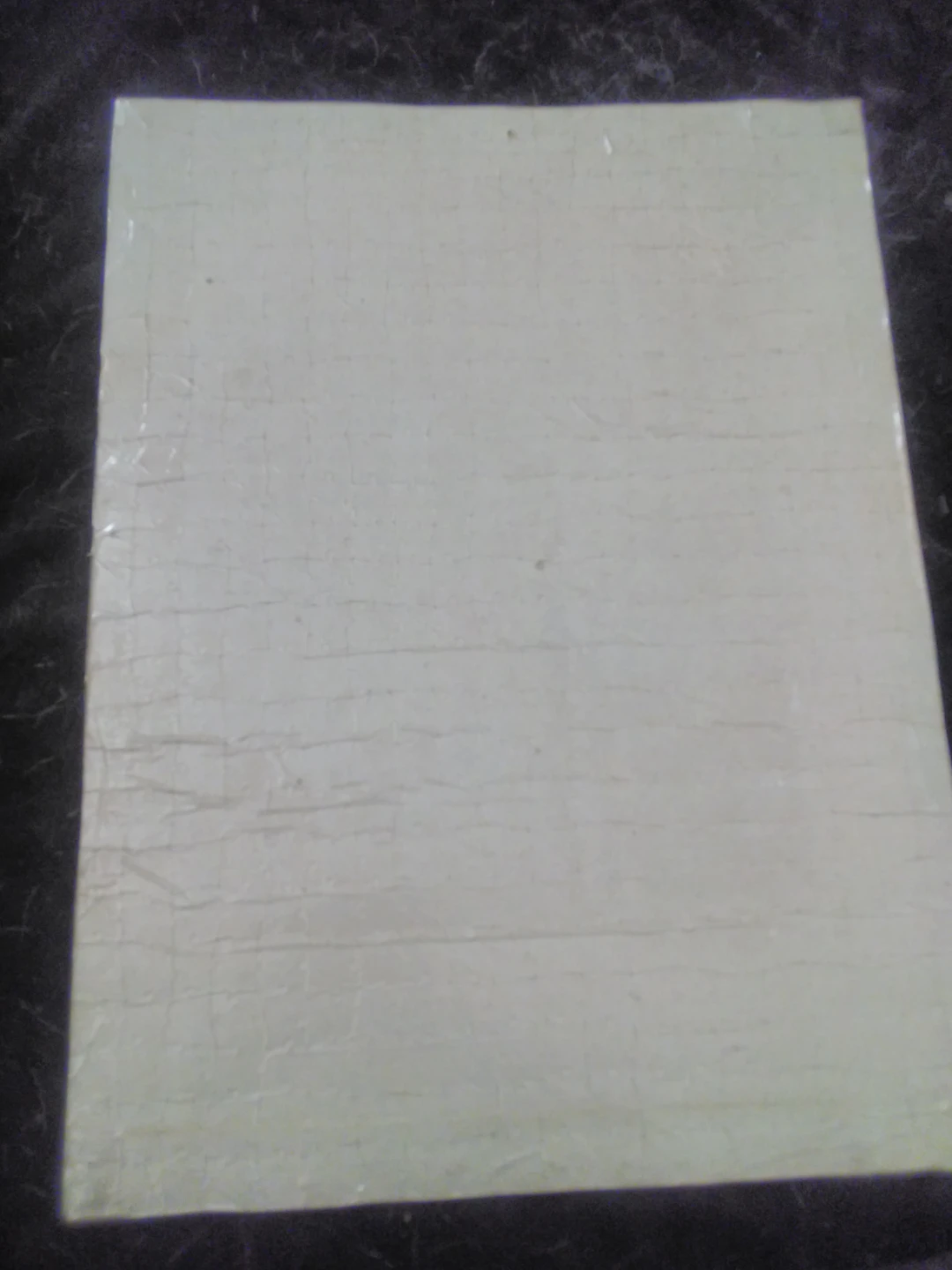 Animal House Movie Puzzle - photo 2