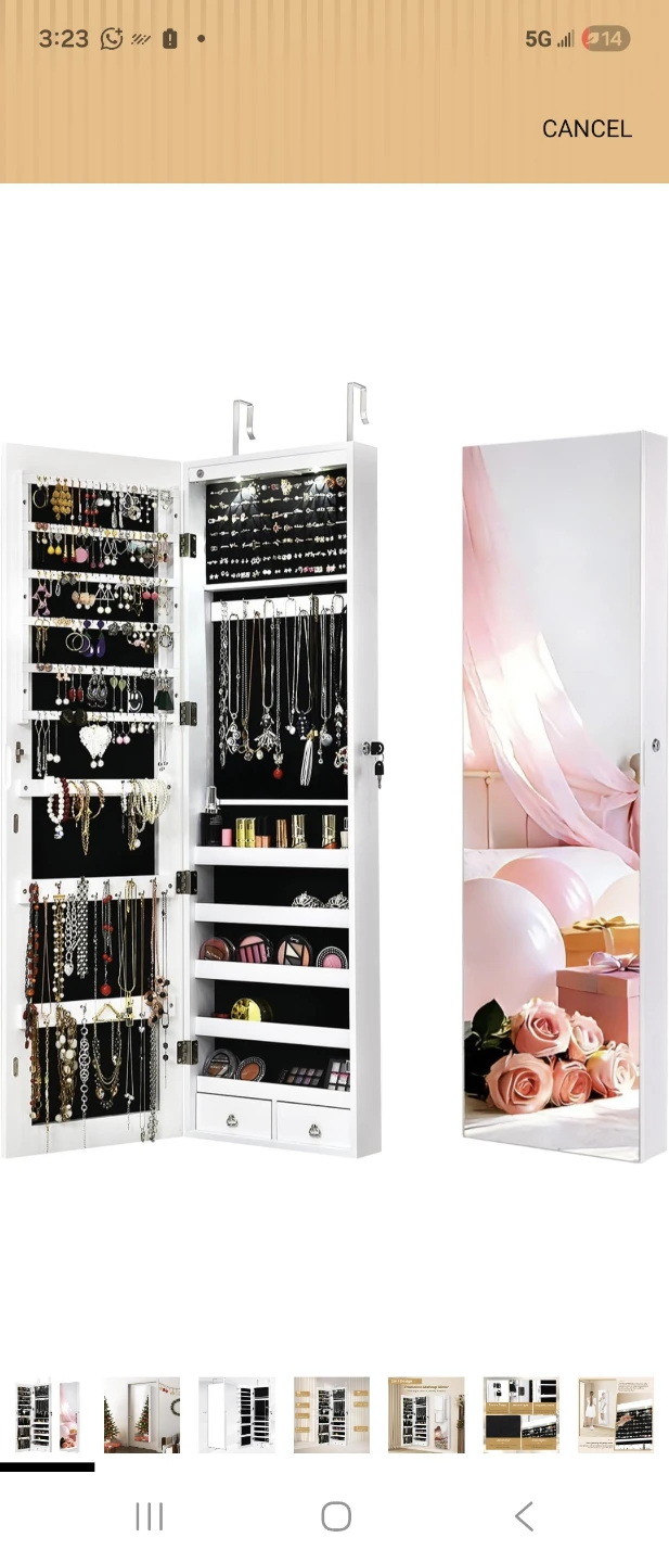 Door Mounted Jewelry Organizer with Full Length Mirror - photo 2